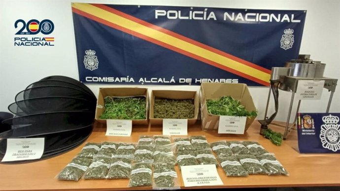 Desmantelan en Alcalá de Henares una plantación familiar de marihuana gestionada por padre e hijo