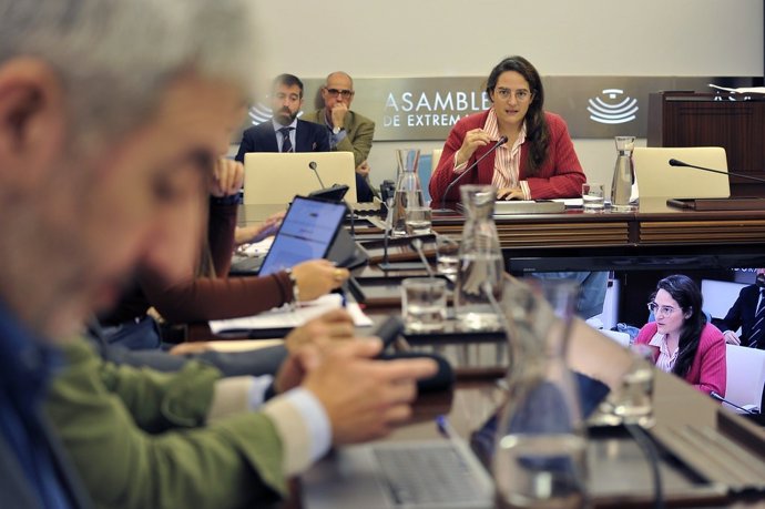 La directora general de Bibliotecas, Archivos y Patrimonio Cultural de la Junta de Extremadura, Adela Rueda, en comisión en la Asamblea para hablar sobre la Ley de Memoria Histórica