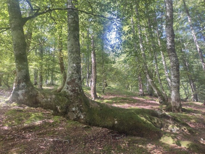 Archivo - Montes en Asturias