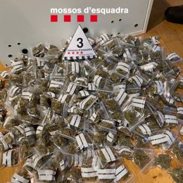 Bolsas de marihuana localizadas en uno de los registros efectuados por los Mossos d'Esquadra en la Bisbal (Girona)