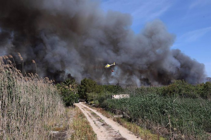 Archivo - Humo de un incendio en una zona afectada en s'Albufera, Mallorca.