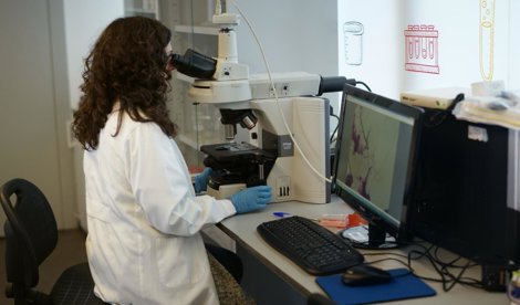 Investigación
