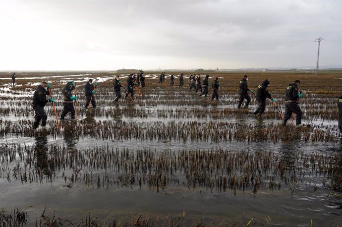 Varios agentes de la Guardia Civil siguen buscando cuerpos en l'Albufera de València, a 15 de noviembre de 2024.