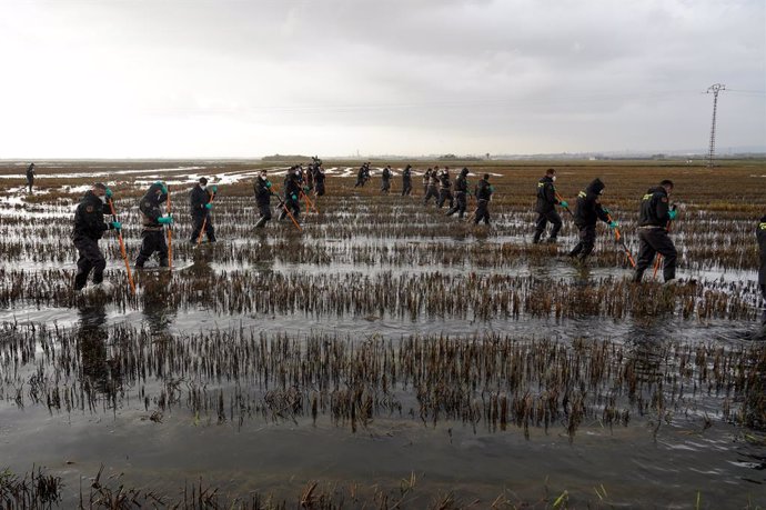 Varios agentes de la Guardia Civil siguen buscando cuerpos en la Albufera, a 15 de noviembre de 2024, en Valencia, Comunidad Valenciana (España). La Guardia Civil sigue buscando a las 16 personas desaparecidas por la DANA. La búsqueda de cuerpos está cent