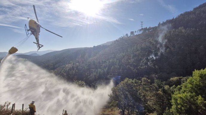 Incendio forestal