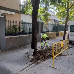 Obra en la barriada España.