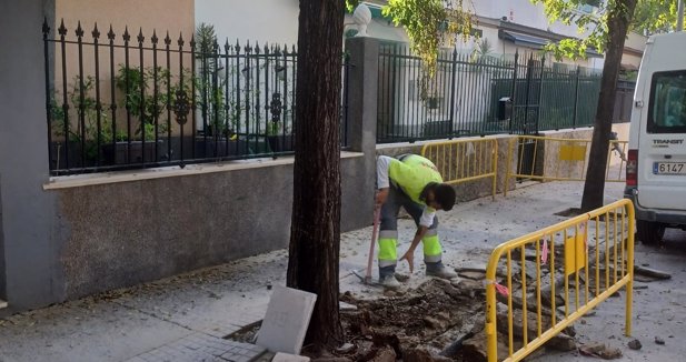 Jerez al día