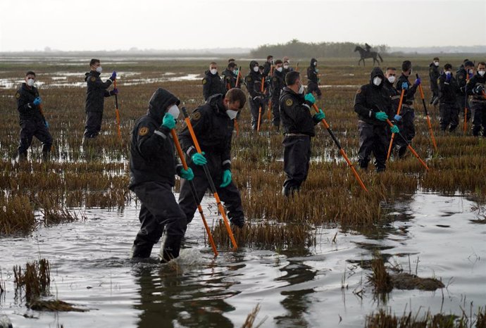 Varios agentes de la Guardia Civil siguen buscando cuerpos en la Albufera, a 15 de noviembre de 2024, en Valencia