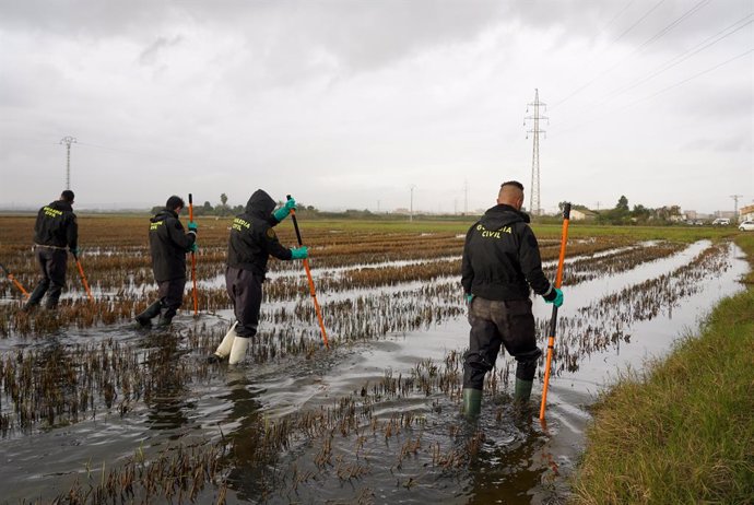 Varios agentes de la Guardia Civil siguen buscando cuerpos en la Albufera, a 15 de noviembre de 2024, en Valencia, Comunidad Valenciana (España). La Guardia Civil sigue buscando a las 16 personas desaparecidas por la DANA. La búsqueda de cuerpos está cent