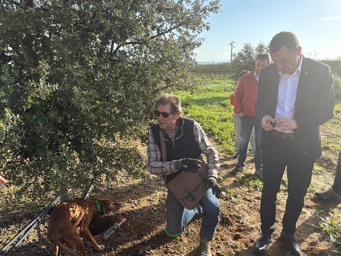 El conseller de Agricultura, Ganadería, Pesca y Alimentación de la Generalitat, Òscar Ordeig, en la finca de trufa negra de Maials (Lleida)