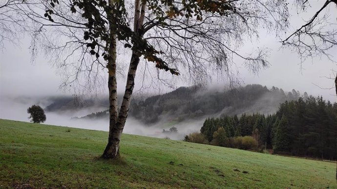 Niebla y lluvia en el Valle de Carranza (Bizkaia)