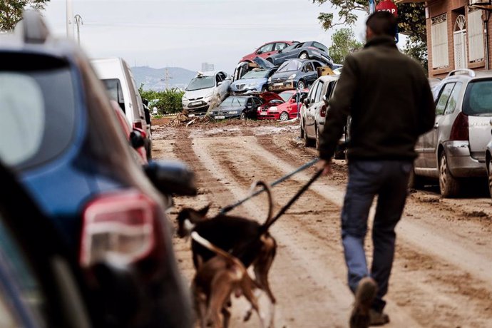 Un hombre pasea a dos perros en una zona afectada por la DANA, a 16 de noviembre de 2024, en Paiporta, Valencia