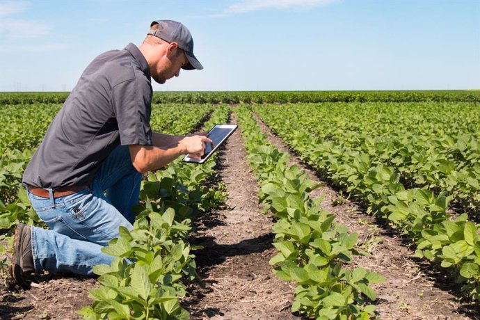 Un agricultor implanta avances tecnológicos en el campo.