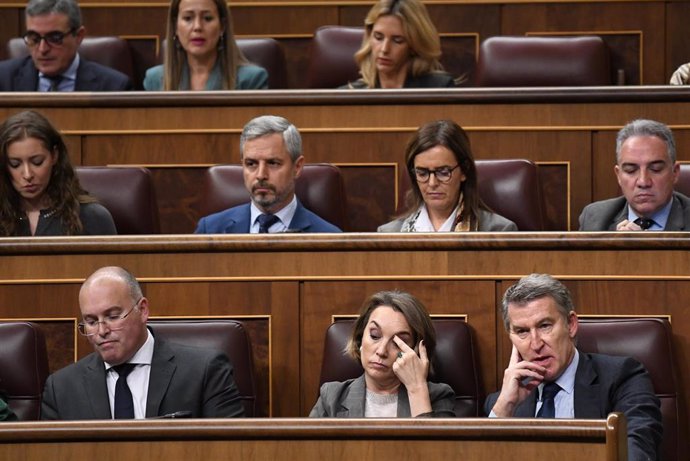 El portavoz del grupo parlamentario popular en el congreso, Miguel Tellado, la secretaria general del PP, Cuca Gamarra y el presidente del PP, Alberto Núñez Feijóo, durante el Pleno del Congreso, a 13 de noviembre de 2024, en Madrid (España). 