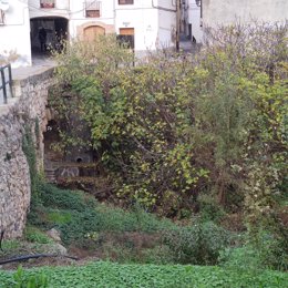 Aspecto actual del barranco Regué a su paso por Camporrells (Huesca)