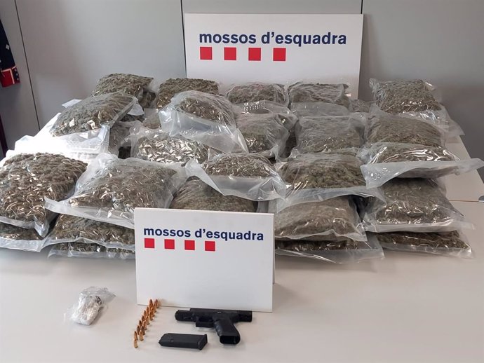 Imagen de la droga encontrada