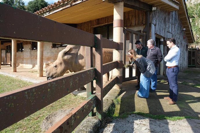 La presidenta de Cantabria, María José Sáenz de Buruaga, visita el recinto de rinocerontes.