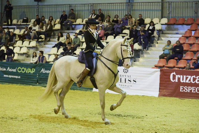 Archivo - Detalle de un caballo en la prueba de doma clásica durante la celebración del Salón Internacional del Caballo (SICAB) en Sevilla. ARCHIVO.