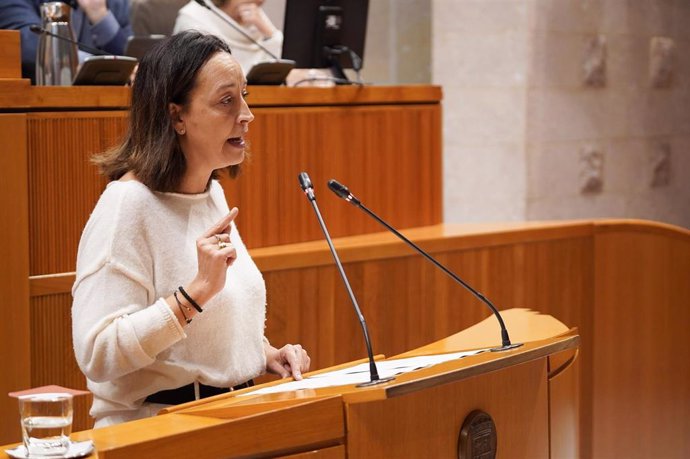 La consejera de Bienestar Social y Familia del Gobierno de Aragón, Carmen Susín, en una interpelación en las Cortes.