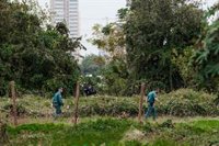 El Cecopi adopta medidas preventivas ante un episodio de fuerte viento que llegará a partir del miércoles