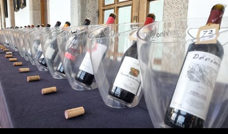 Comunicados Sociedad