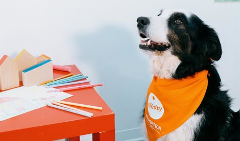 Cooperación y Desarrollo