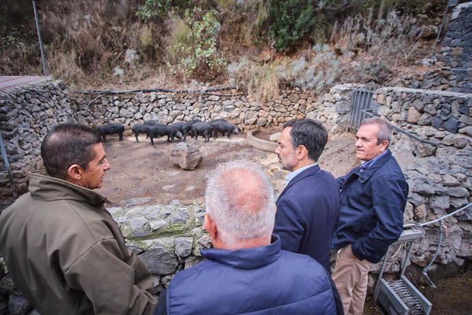 Visita a la finca El Helecho, en el municipio de Arico, una finca propiedad del Cabildo de Tenerife, en la que se trabaja en la recuperación del cochino negro canario desde hace más de tres décadas