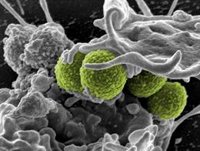 El ECDC advierte de que el consumo de antibióticos en la UE ha aumentado un 1%, alejándose de sus objetivos de reducción