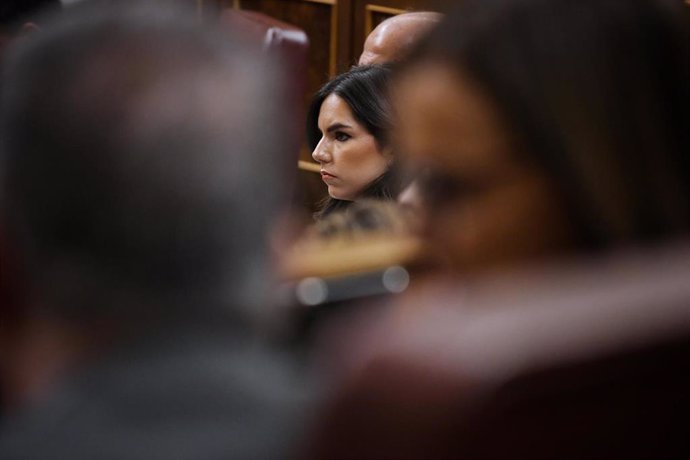 La portavoz de Vox en el Congreso, Pepa Millán.