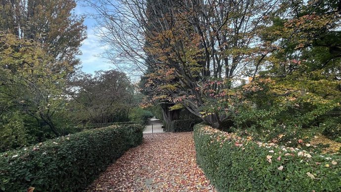 El Real Jardín Botánico ‘El otoño, a los pies de los visitantes del RJB-CSIC’