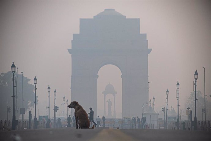 Archivo - Contaminación en Nueva Delhi, India