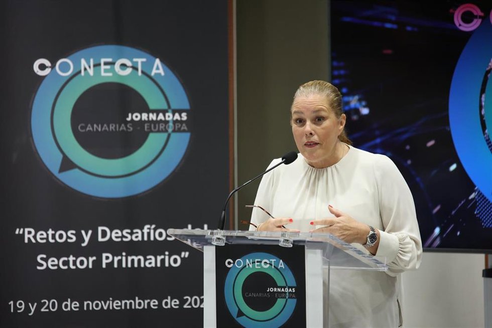 La presidenta del Parlamento de Canarias, Astrid Pérez, en la apertura de las 'Jornadas Conecta Europa'