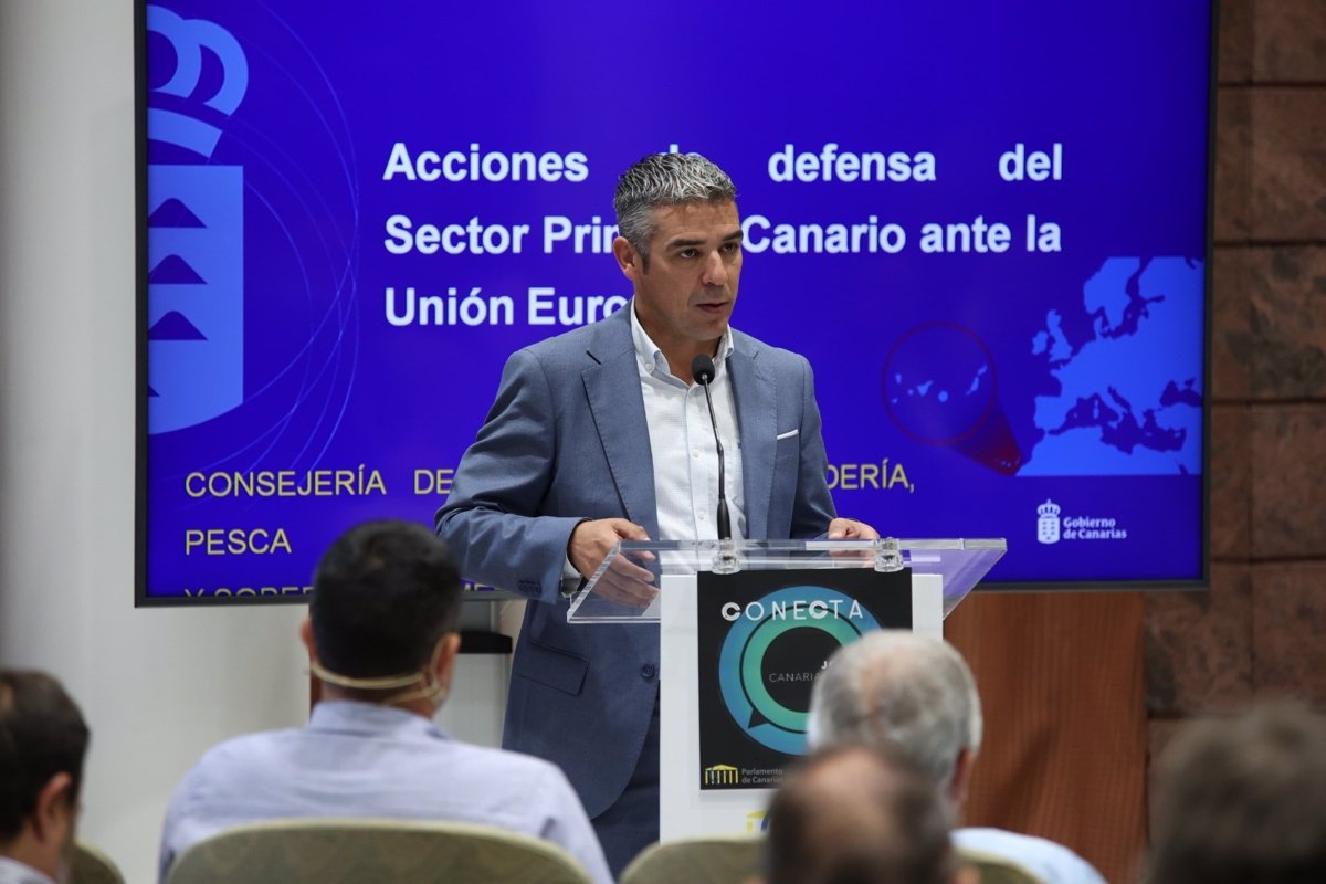 Canarias afirma que la asignación del POSEI debería aumentar a 357 millones para mantener su nivel de compromiso