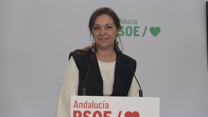 La portavoz de Fomento, Articulación del Territorio y Vivienda del Grupo Socialista en el Parlamento andaluz, Isabel Ambrosio, en rueda de prensa en la sede del PSOE-A.