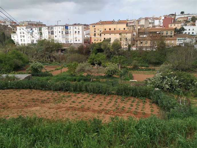 Huertos urbanos en Cáceres