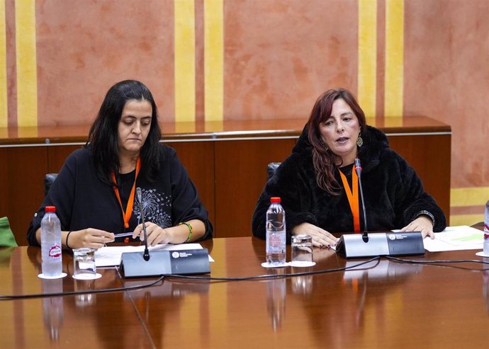 La presidenta de la CAONGD, Zaira Mesa, junto a la vicepresidenta, Patricia Sánchez.