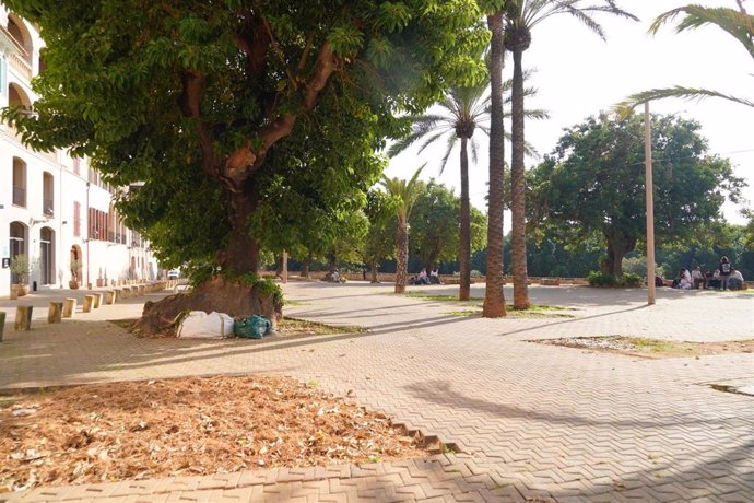 Plaza Llorenç Villalonga