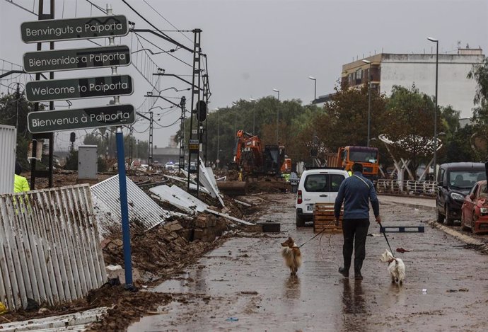 Un hombre pasea a sus perros, a 13 de noviembre de 2024, en Paiporta, Valencia