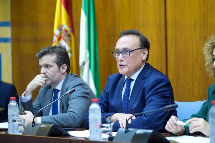 El consejero de Universidad, Investigación e Innovación, José Carlos Gómez Villamandos, en comisión parlamentaria el 19 de noviembre de 2024.