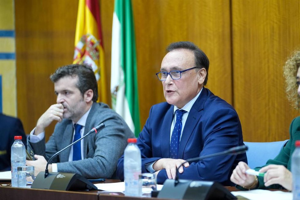 El consejero de Universidad, Investigación e Innovación, José Carlos Gómez Villamandos, en comisión parlamentaria el 19 de noviembre de 2024.