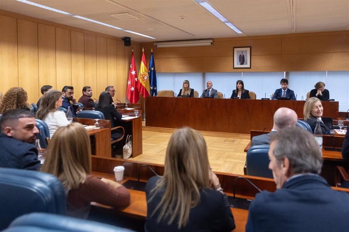 La mujer del presidente del Gobierno, Begoña Gómez (1d), durante la Comisión de Investigación sobre programas de cátedras y postgrados de la Universidad Complutense de Madrid y empresas financiadoras, en la Asamblea de Madrid, a 13 de noviembre de 2024, e