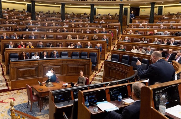 El portaveu del PP al Congrés, Miguel Tellado, intervé durant una sessió de control al Govern, a 20 de novembre del 2024, a Madrid (Espanya). 