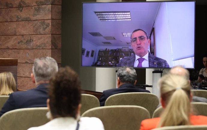 El director general de Sanidad del Ministerio de Agricultura, Valentín Almansa, en una ponencia en las jornadas 'Conecta Europa' organizadas por el Parlamento de Canarias