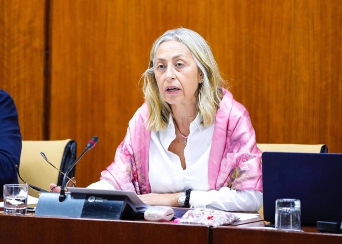 La Consejera de Salud y Consumo, Rocío Hernández,  en comisión parlamentaria el 20 de noviembre de 2024.