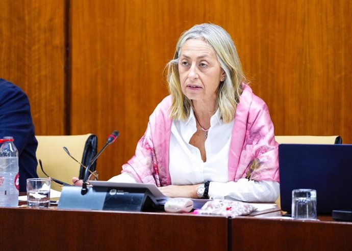 La consejera de Salud y Consumo, Rocío Hernández, en comisión parlamentaria.