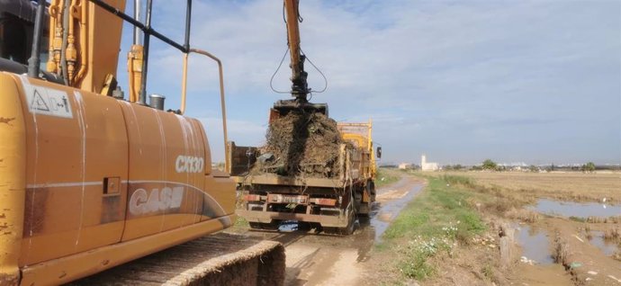 Trabajos en l'Albufera