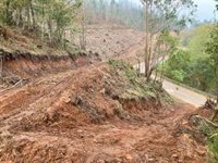 El PSOE pide explicaciones al gobierno local del PP por los daños causados por las talas en el monte Naranco