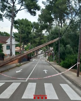 Afectación por el viento en Castelldefels (Barcelona)