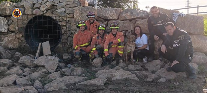 Rescate de perro en Quart de Poblet