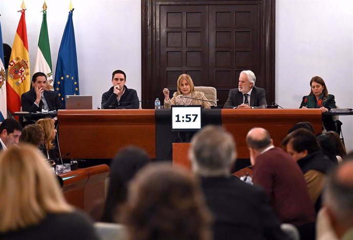 La alcaldesa de Jerez, María José García-Pelayo, durante el pleno de noviembre.